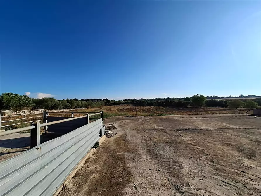Immagine 8 di Casa indipendente in vendita  in Contrada Putignano 80 a Conversano