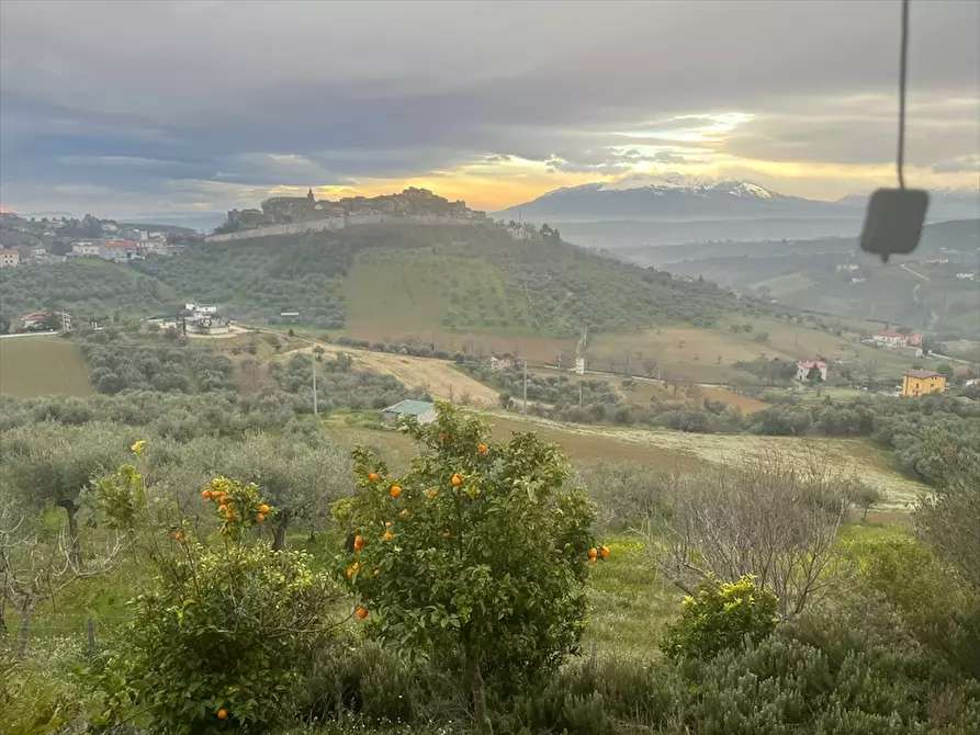 Immagine 20 di Casa indipendente in vendita  in Via Belvedere 27 a Collecorvino