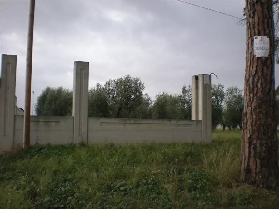 Immagine 7 di Terreno agricolo in vendita  a Cerignola