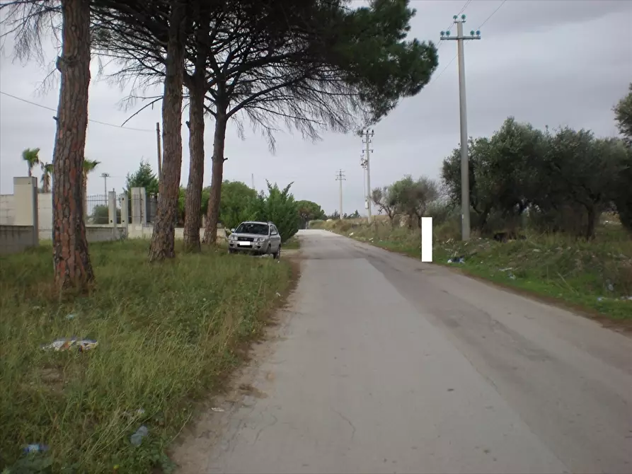 Immagine 5 di Terreno agricolo in vendita  a Cerignola
