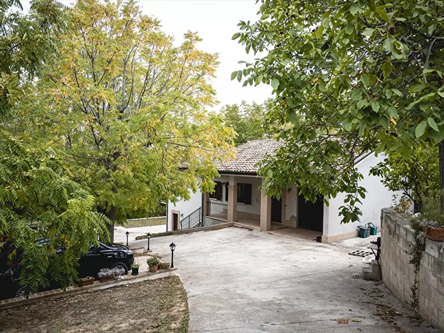 Immagine 4 di Villa in vendita  in Via Santo Stefano a Ripa Teatina