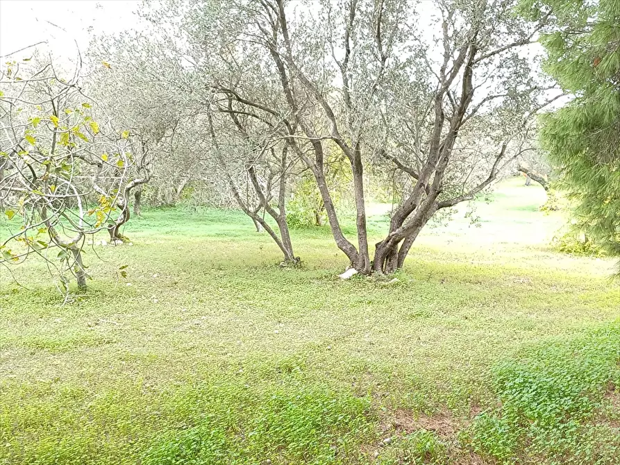 Immagine 4 di Casa indipendente in vendita  in Strada Vicinale Santa Maria di Lu Gardu n. 30/A a Sassari