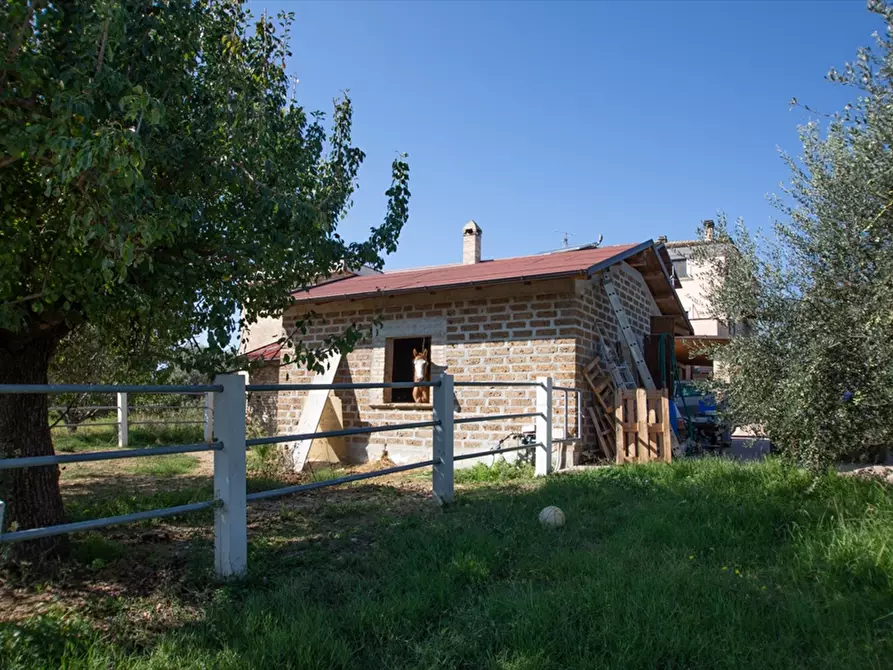 Immagine 25 di Rustico / casale in vendita  in contrada Santa Maria Arabona snc a Manoppello