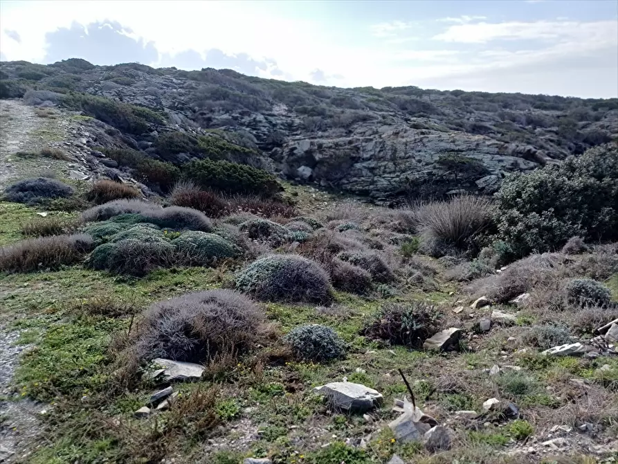 Immagine 22 di Terreno agricolo in vendita  in Cala Scoglietti 