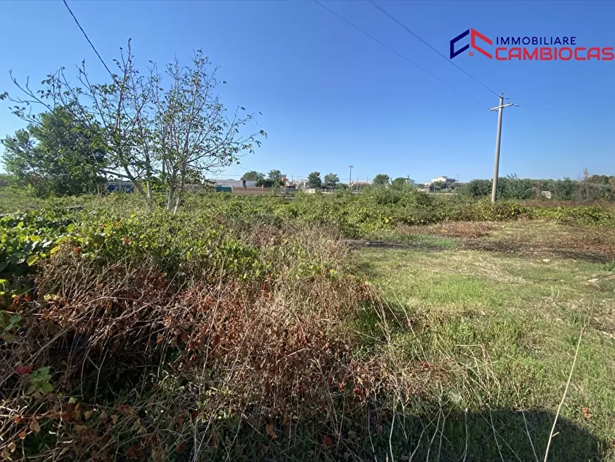 Immagine 6 di Villa in vendita  in contrada fogliaro a Crispiano