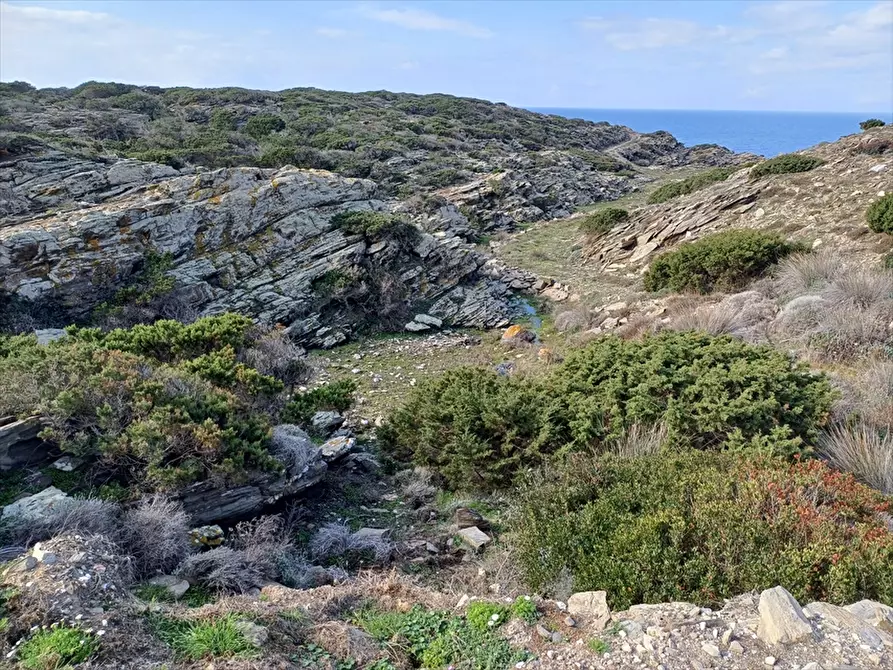 Immagine 10 di Terreno agricolo in vendita  in Località Tanca di Li Baddi a Stintino