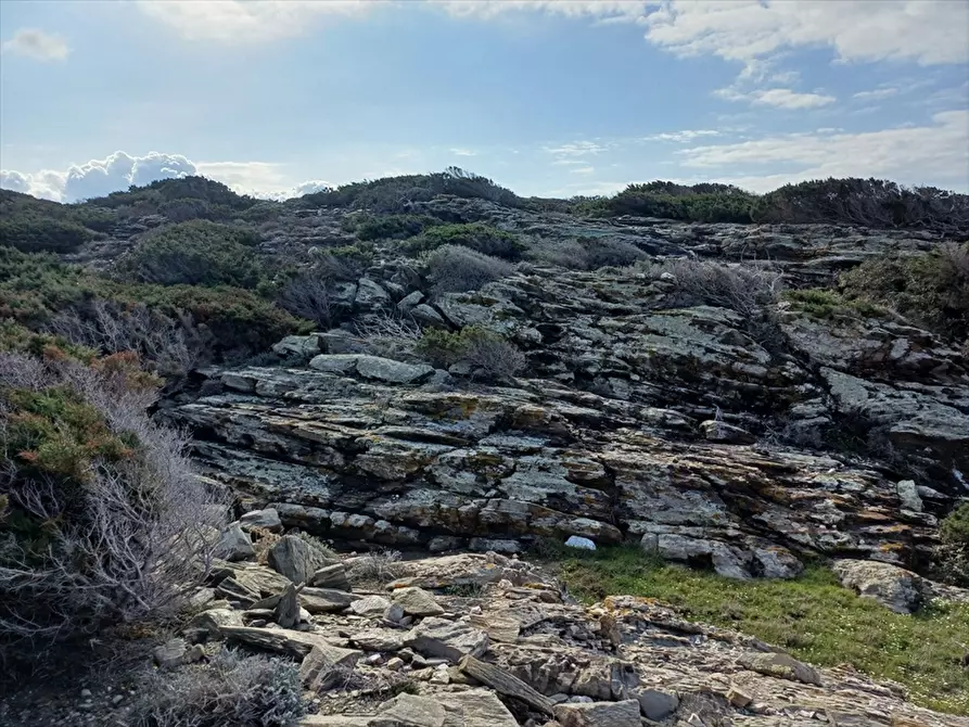 Immagine 19 di Terreno agricolo in vendita  in Cala Scoglietti 