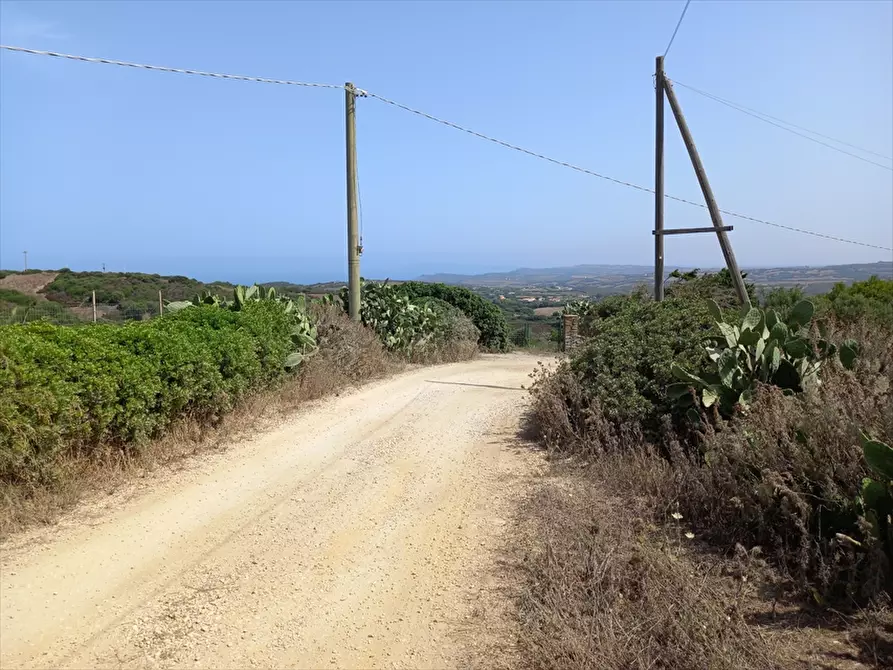 Immagine 12 di Terreno agricolo in vendita  in Biancareddu La Nurra 