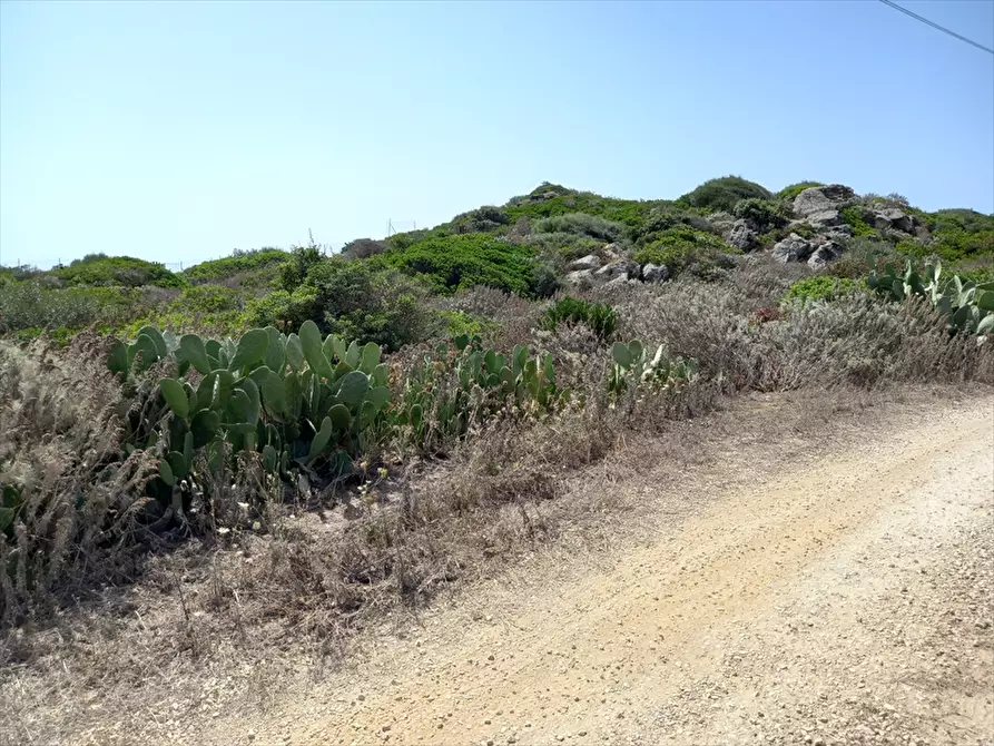 Immagine 10 di Terreno agricolo in vendita  in Biancareddu La Nurra 