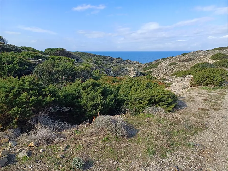 Immagine 18 di Terreno agricolo in vendita  in Cala Scoglietti 