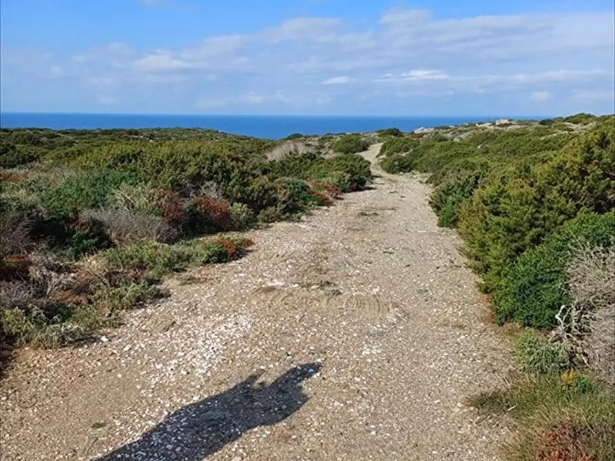 Immagine 1 di Terreno agricolo in vendita  in Cala Scoglietti 
