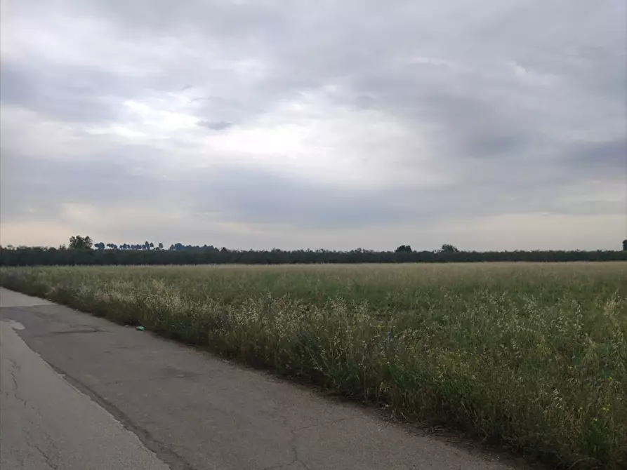 Immagine 1 di Terreno agricolo in vendita  a Cerignola