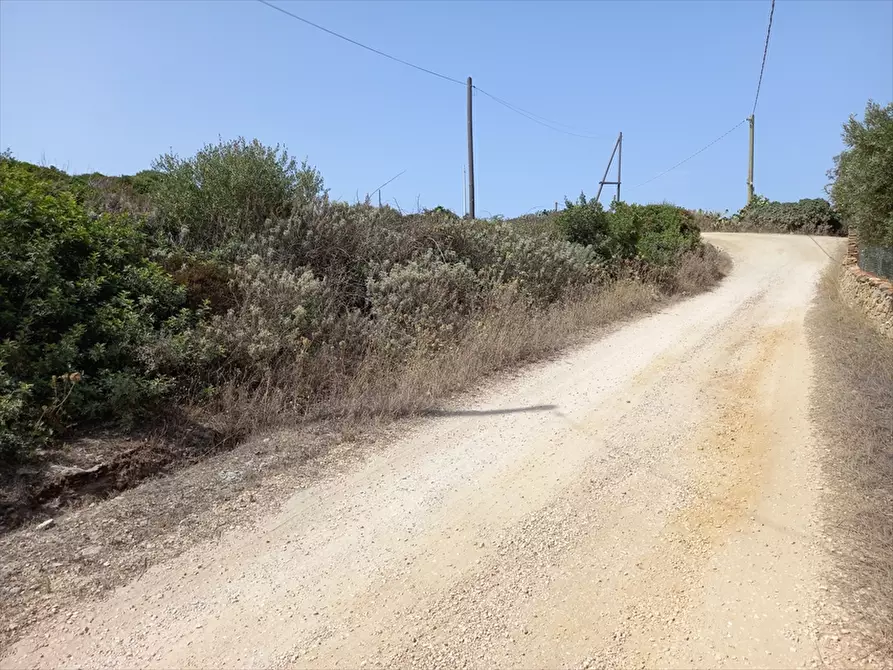 Immagine 6 di Terreno agricolo in vendita  in Biancareddu La Nurra 