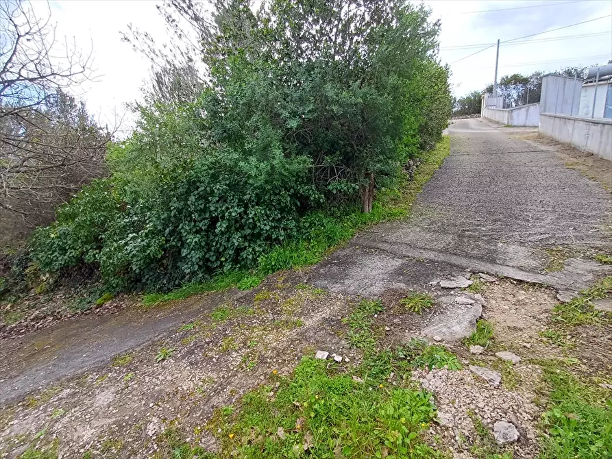 Immagine 6 di Terreno agricolo in vendita  in Zipirianu Località Ledò a Tissi