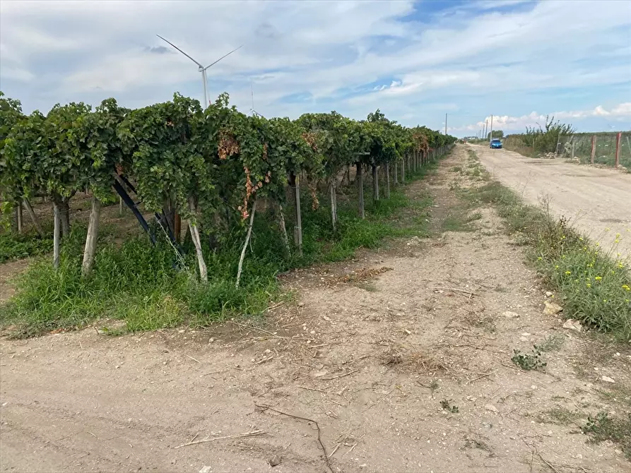Immagine 3 di Terreno agricolo in vendita  in 