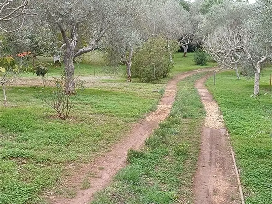 Immagine 8 di Casa indipendente in vendita  in Strada Vicinale Santa Maria di Lu Gardu n. 30/A a Sassari