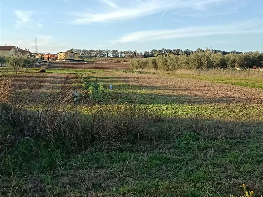 Immagine 2 di Terreno edificabile in vendita  a Rosciano