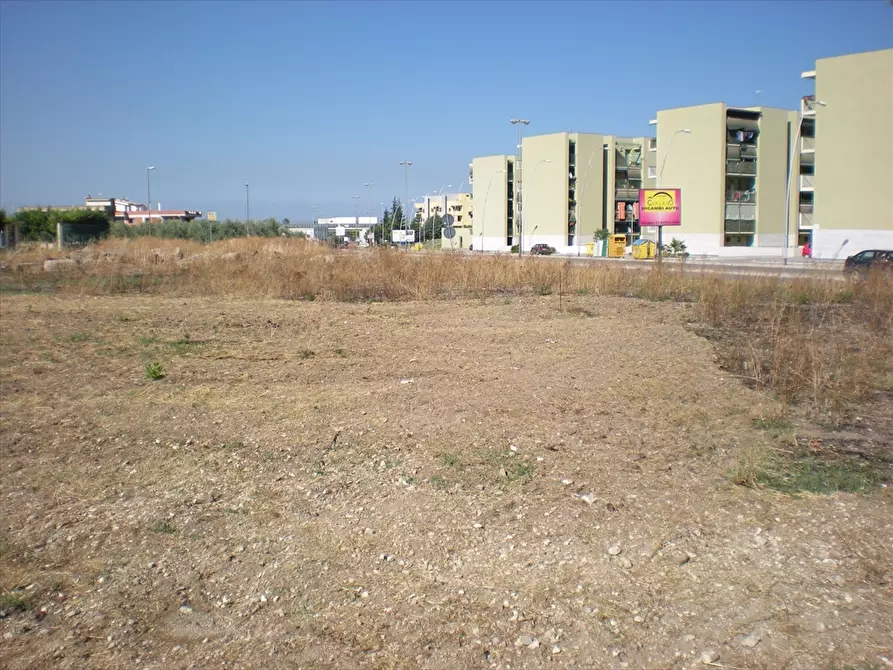 Immagine 1 di Terreno agricolo in vendita  a Cerignola