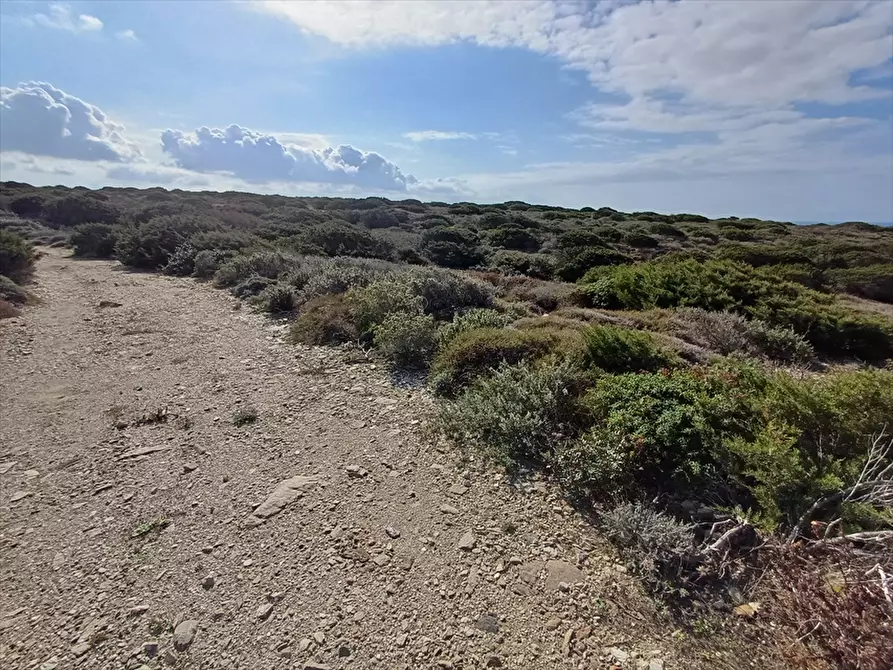 Immagine 12 di Terreno agricolo in vendita  in Cala Scoglietti 