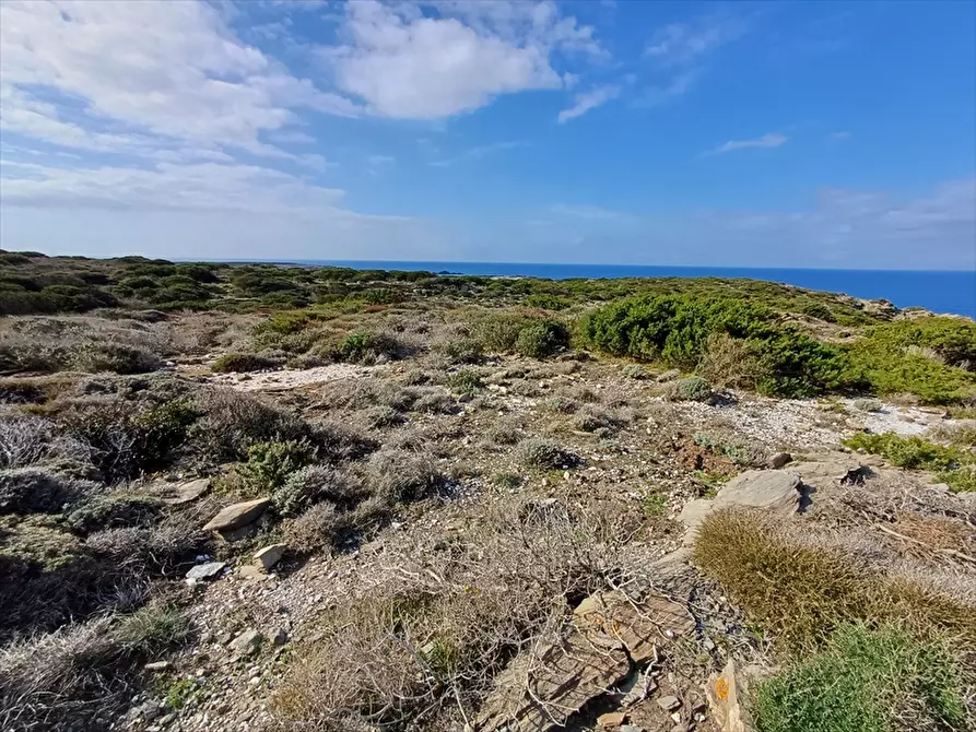 Immagine 14 di Terreno agricolo in vendita  in Cala Scoglietti 