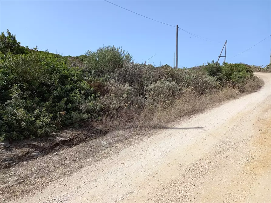 Immagine 5 di Terreno agricolo in vendita  in Biancareddu La Nurra 