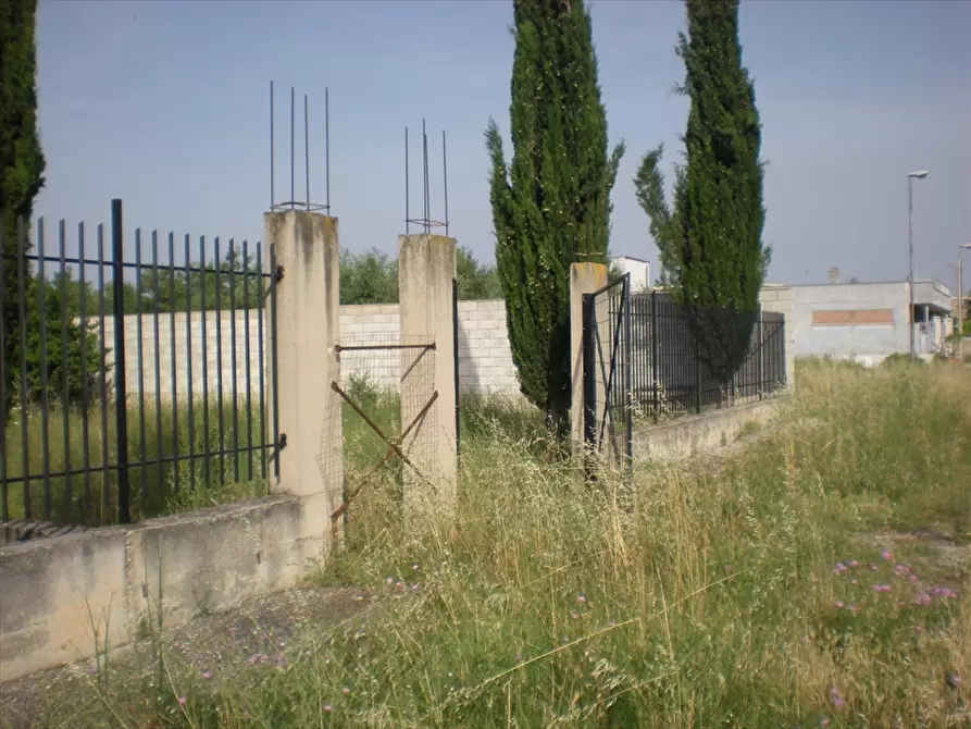 Immagine 7 di Terreno edificabile in vendita  in Via Torre Quarto a Cerignola