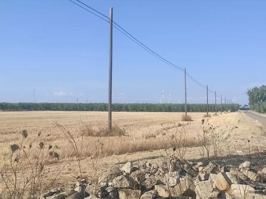 Immagine 4 di Terreno agricolo in vendita  in CONTRADA PAVONI  a Cerignola