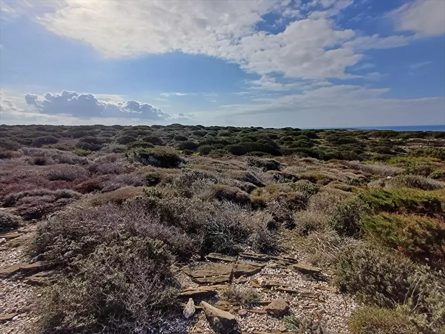 Immagine 16 di Terreno agricolo in vendita  in Cala Scoglietti 