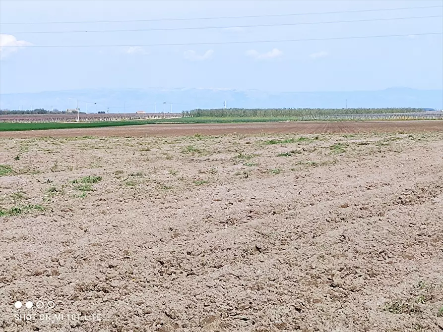 Immagine 4 di Terreno agricolo in vendita  in ZONA 