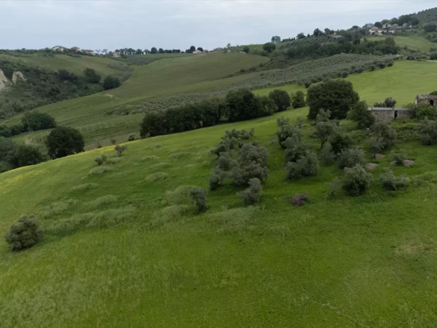 Immagine 13 di Terreno agricolo in vendita  a Bucchianico