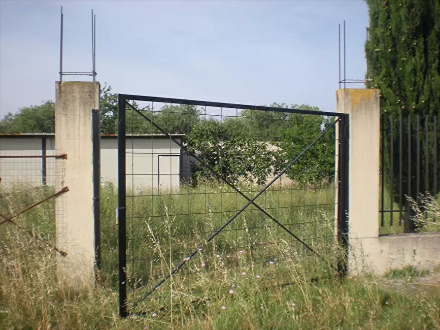 Immagine 4 di Terreno edificabile in vendita  in Via Torre Quarto a Cerignola