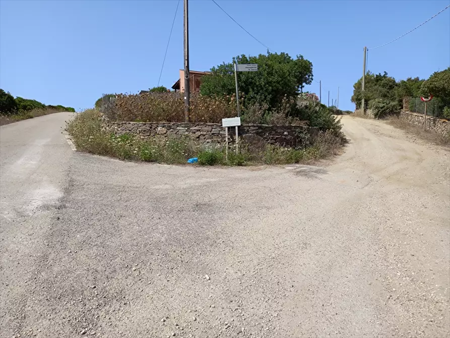 Immagine 2 di Terreno agricolo in vendita  in Biancareddu La Nurra 