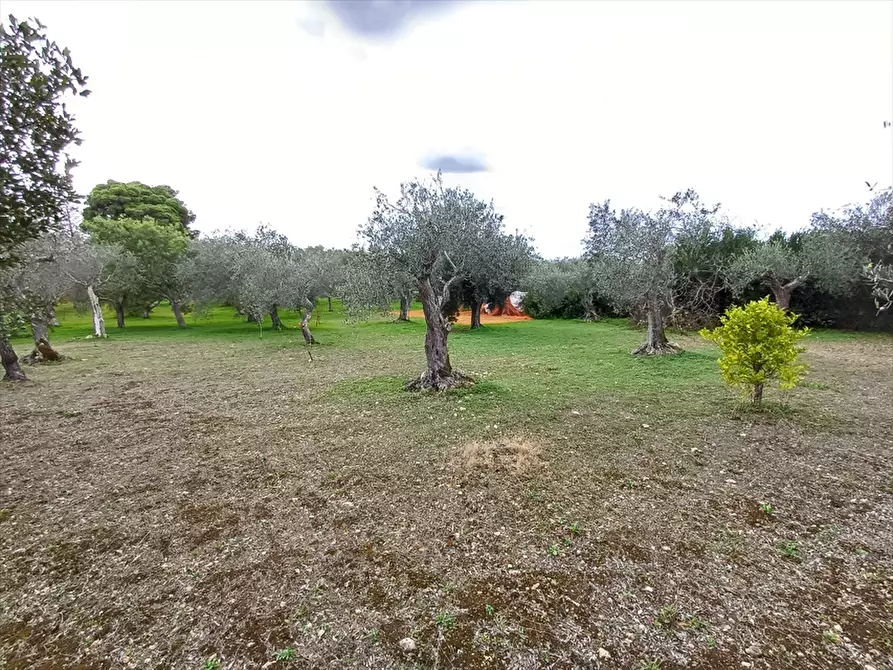 Immagine 19 di Casa indipendente in vendita  in Strada Vicinale Santa Maria di Lu Gardu n. 30/A a Sassari
