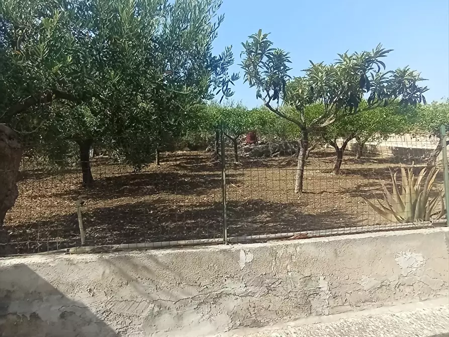 Immagine 4 di Casa indipendente in vendita  a Erice