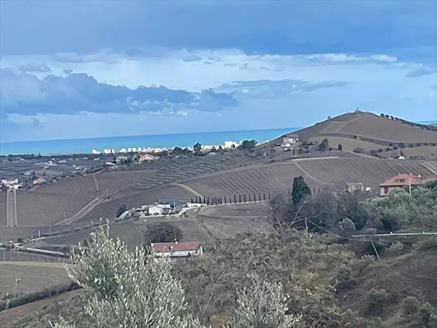 Immagine 24 di Casa indipendente in vendita  in Via Belvedere 27 a Collecorvino