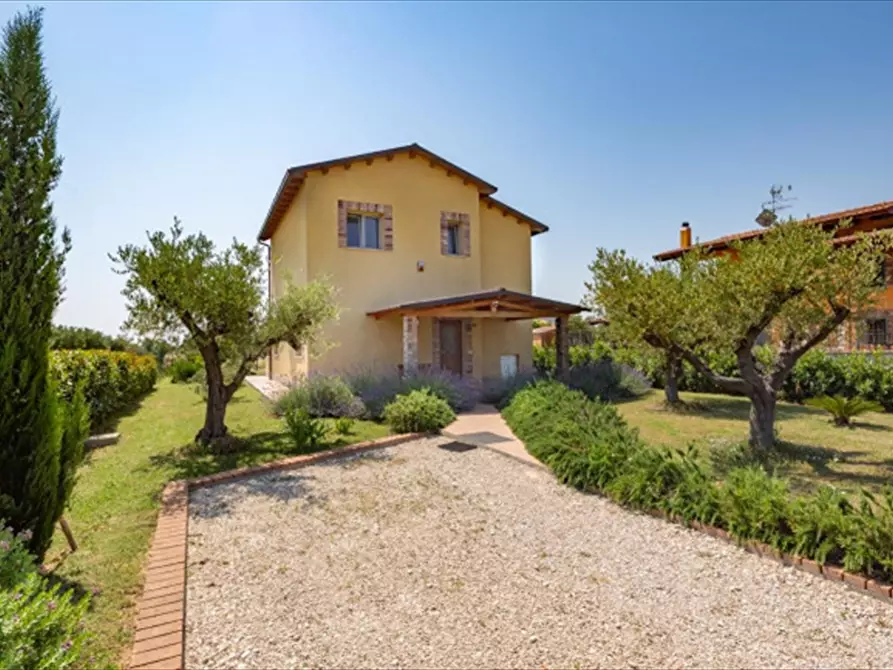 Immagine 21 di Casa indipendente in vendita  in Contrada Sterpari del Garda - Nr. 22 a Rocca San Giovanni