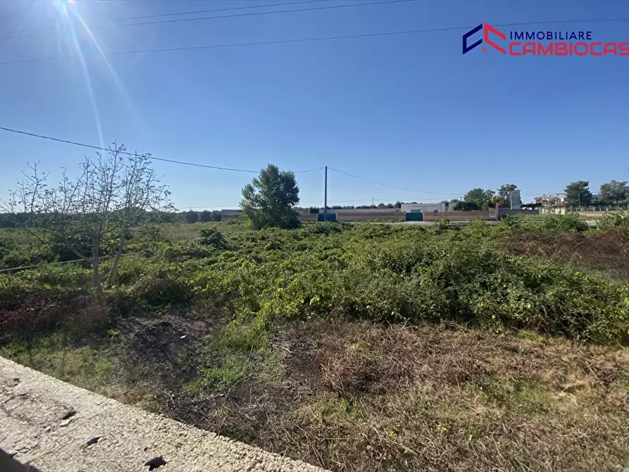 Immagine 2 di Villa in vendita  in contrada fogliaro a Crispiano