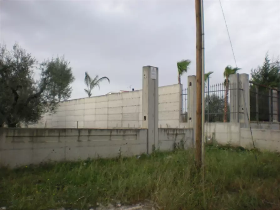 Immagine 4 di Terreno agricolo in vendita  a Cerignola
