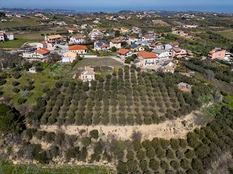 Immagine 7 di Terreno edificabile in vendita  a Ripa Teatina