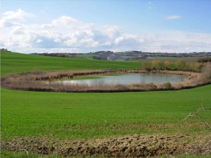 Immagine 2 di Multiproprietà in vendita  a Acquasparta