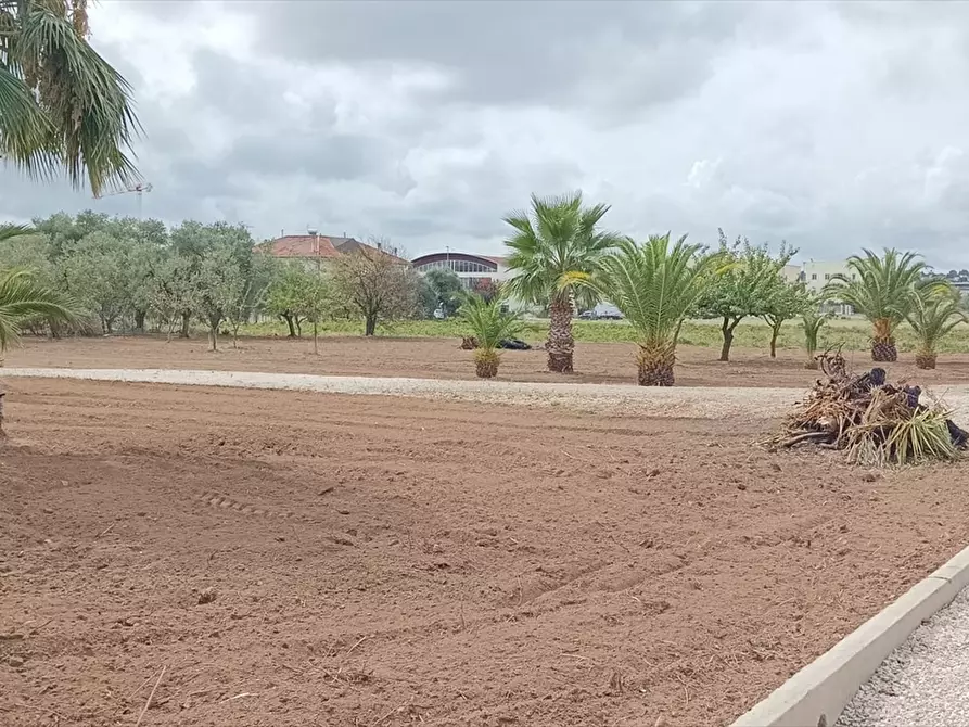Immagine 3 di Terreno residenziale in vendita  a Corato