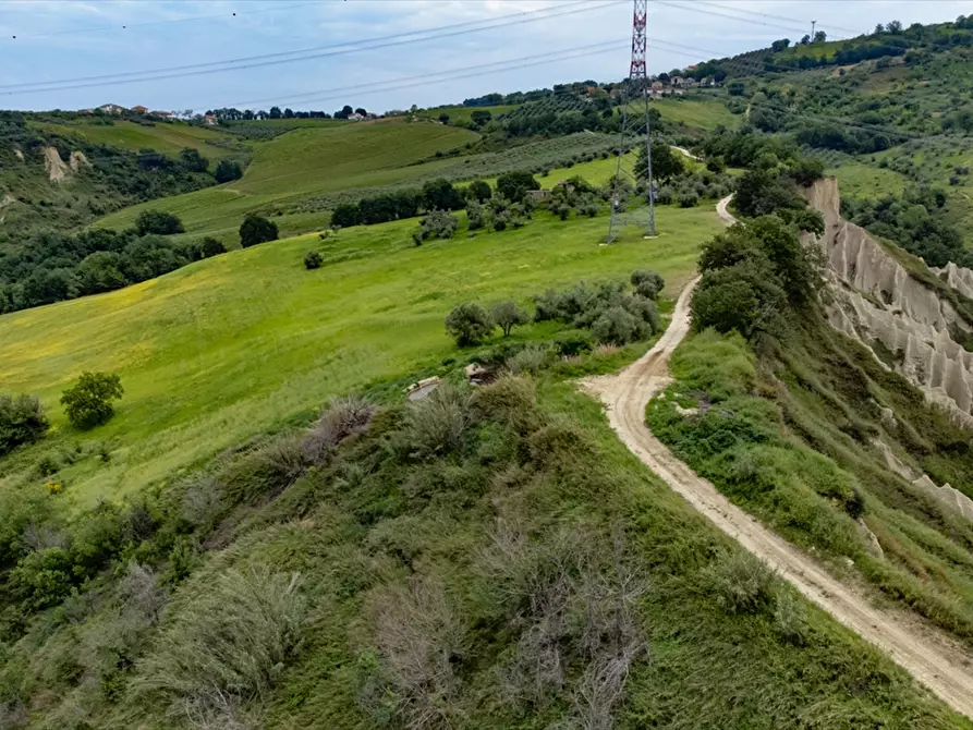 Immagine 3 di Terreno agricolo in vendita  a Bucchianico