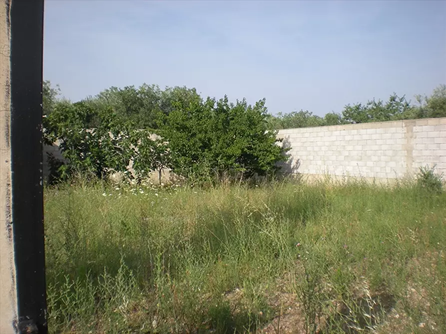 Immagine 3 di Terreno edificabile in vendita  in Via Torre Quarto a Cerignola
