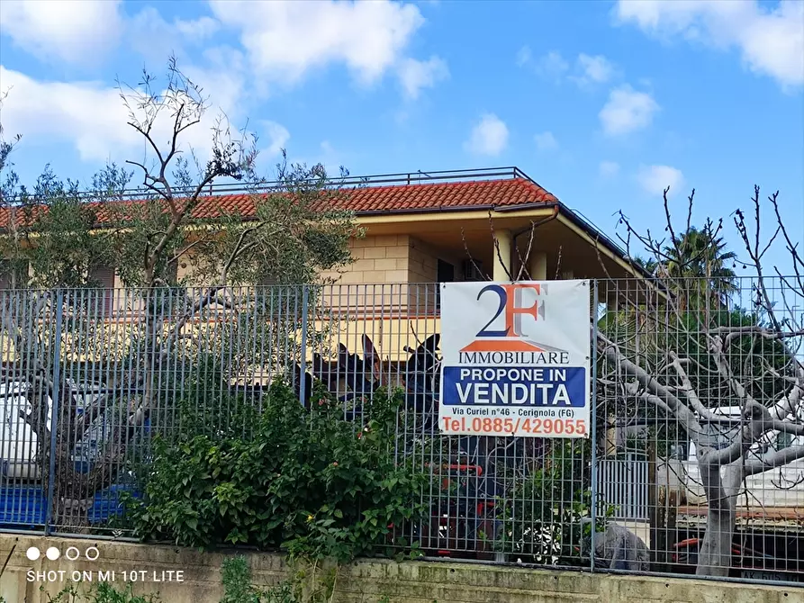 Immagine 2 di Capannone industriale in vendita  a Cerignola