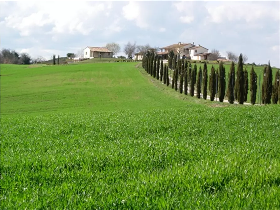 Immagine 4 di Multiproprietà in vendita  a Acquasparta