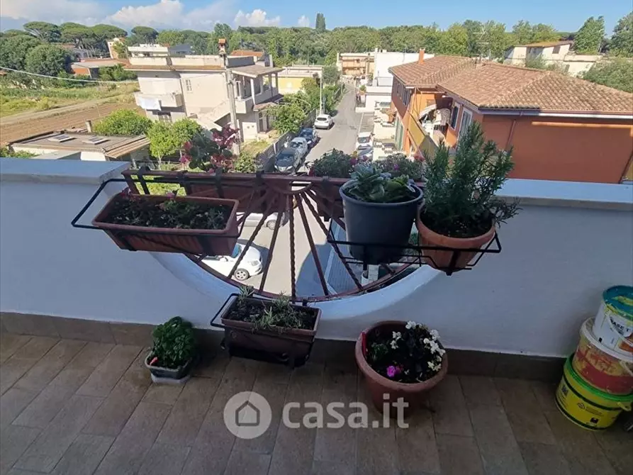 Immagine 11 di Appartamento in vendita  a Anzio