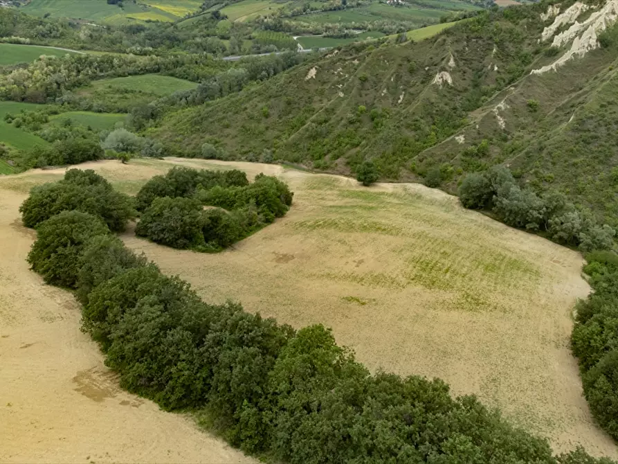 Immagine 6 di Terreno agricolo in vendita  a Bucchianico