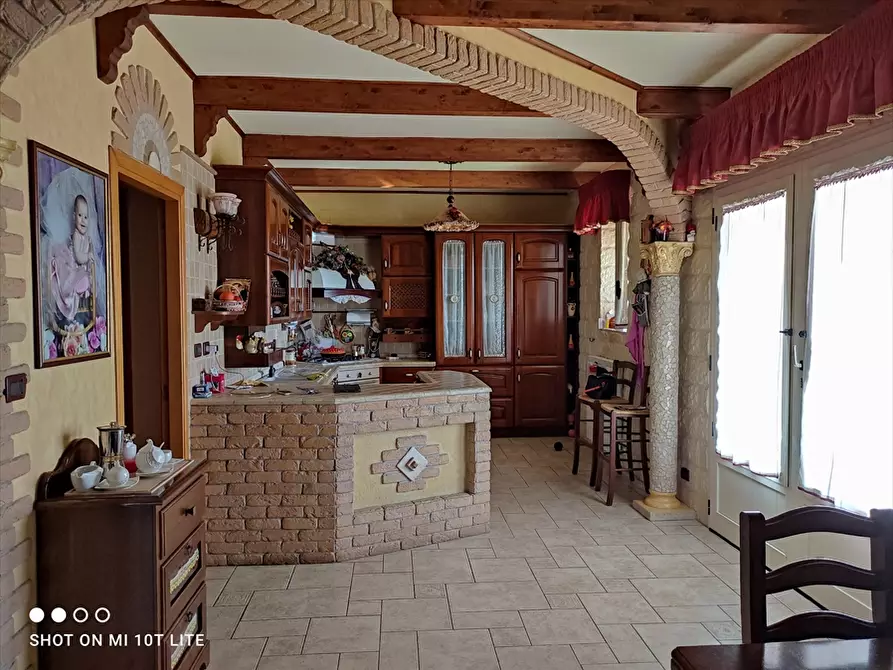 Immagine 6 di Terreno agricolo in vendita  in Contrada San Vito a Cerignola