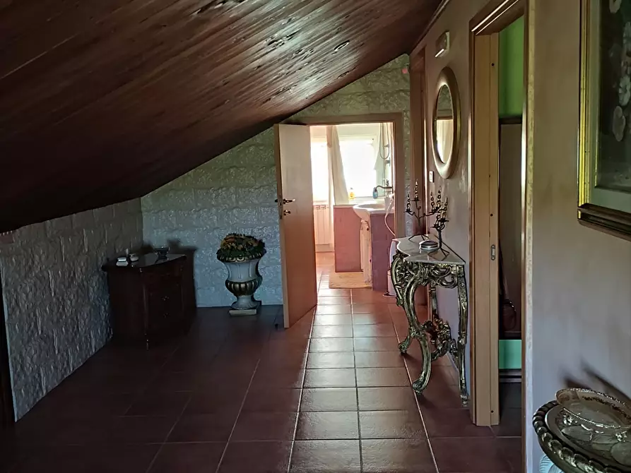 Immagine 10 di Terreno agricolo in vendita  in Contrada San Vito a Cerignola