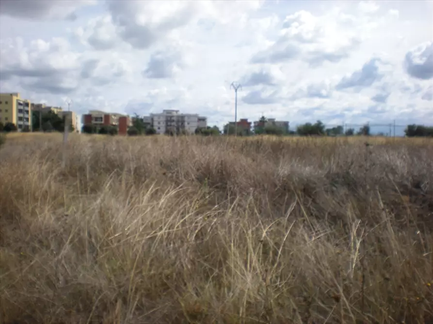 Immagine 4 di Terreno agricolo in vendita  a Cerignola